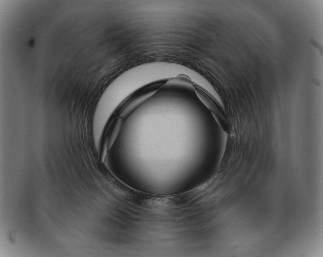 X0000091470086200708231348