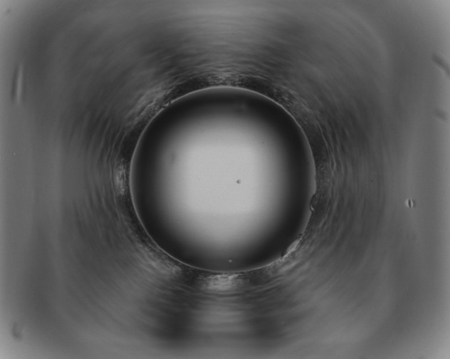 X0000091470090200708231348