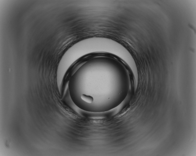 X0000091470092200708231348