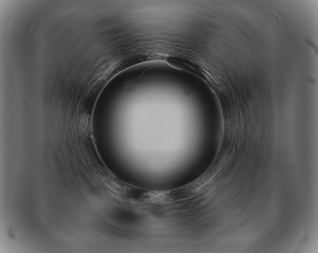 X0000091470093200708231348