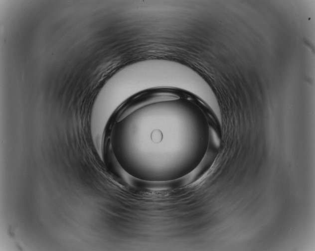 X0000091470094200708231348