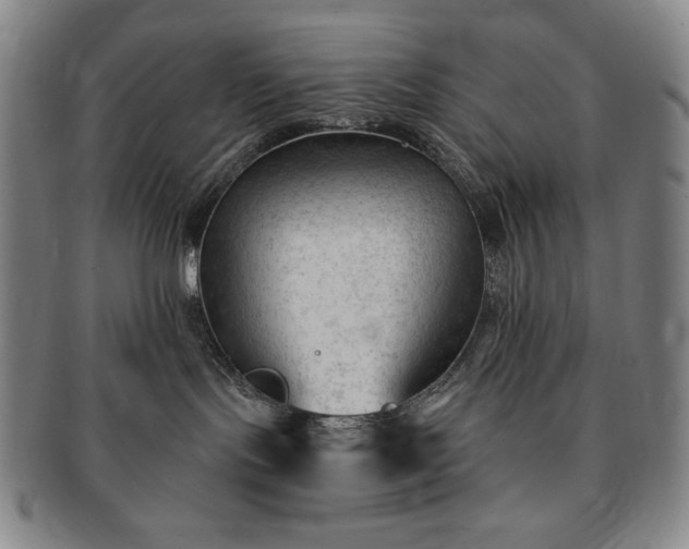 X0000091470095200708231348