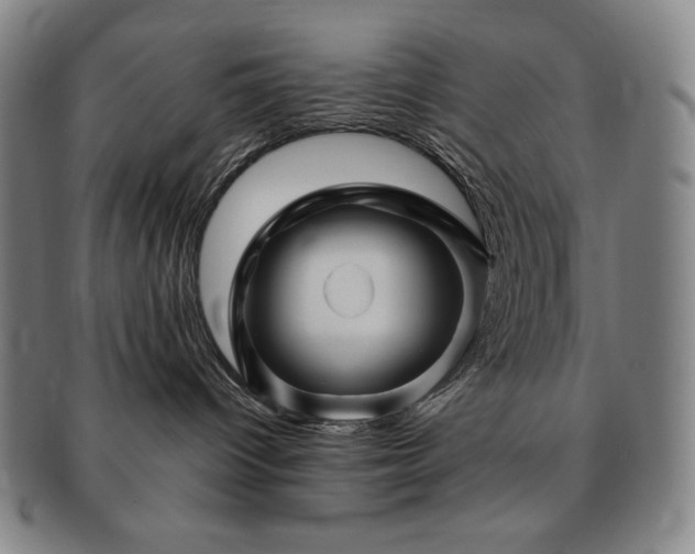 X0000091470096200708231348