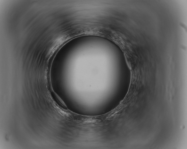 X0000091470098200708231347