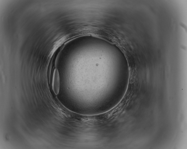 X0000091470099200708231347