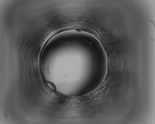 X0000091470100200708231347