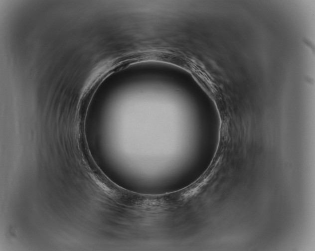 X0000091470101200708231347