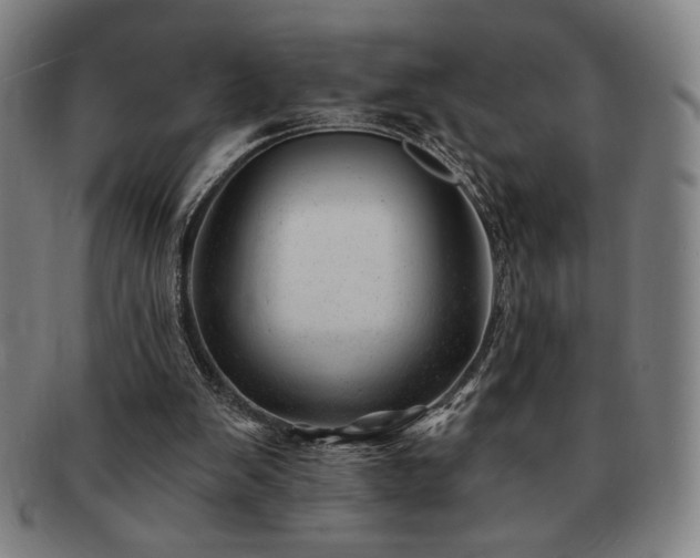 X0000091470103200708231347