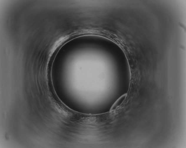 X0000091470104200708231347