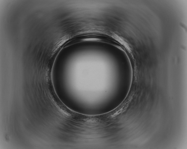 X0000091470105200708231347