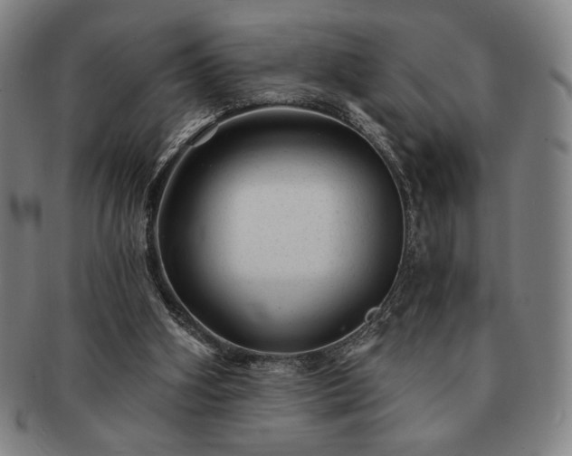 X0000091470106200708231347