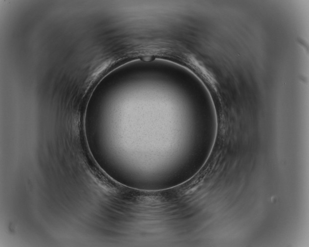 X0000091470107200708231347