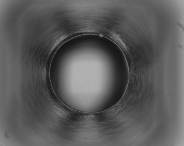 X0000091470108200708231347