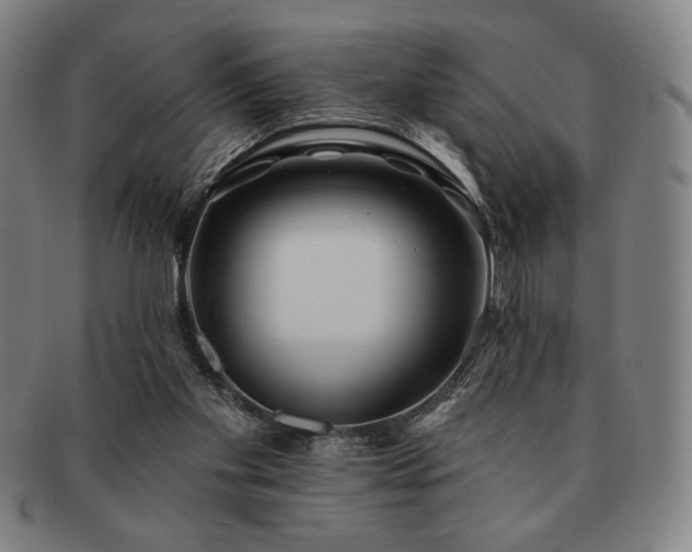 X0000091470109200708231347