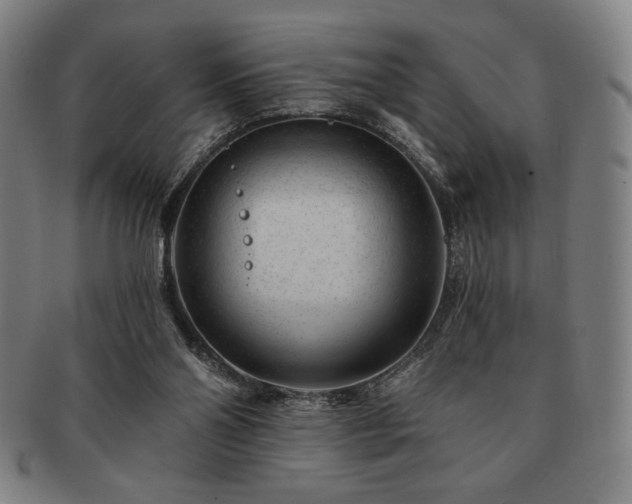 X0000091470110200708231347