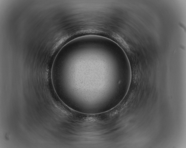 X0000091470111200708231347