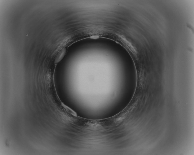 X0000091470113200708231347