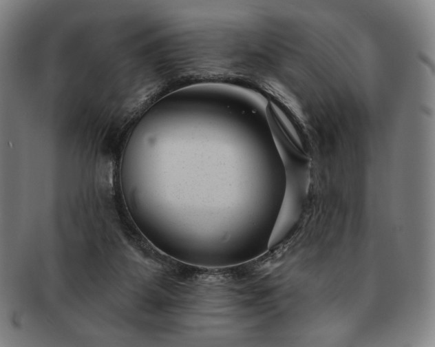 X0000091470115200708231347