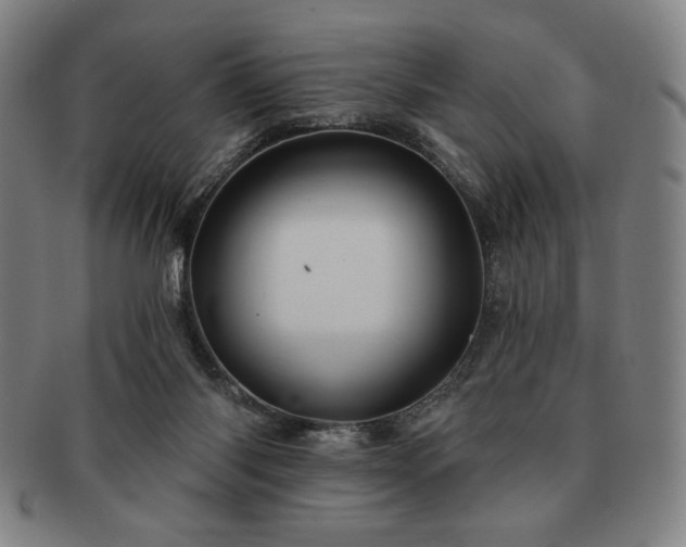 X0000091470118200708231347