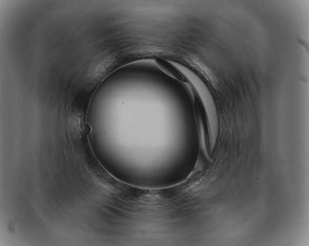 X0000091470119200708231347