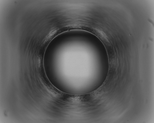 X0000091470120200708231347