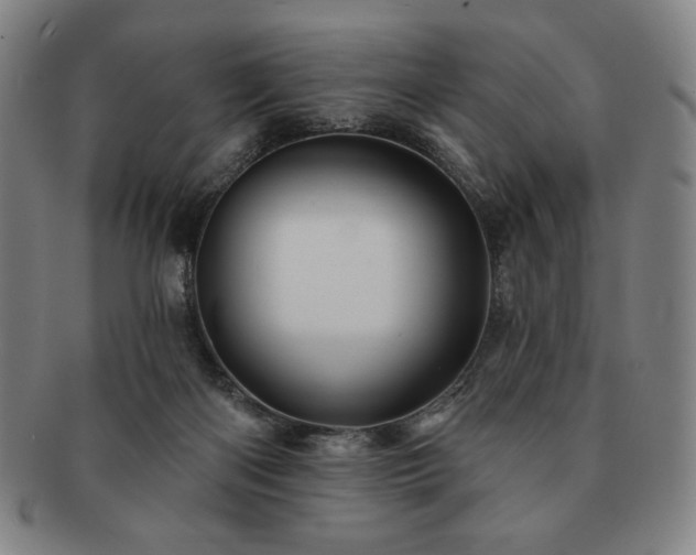 X0000091470122200708231347