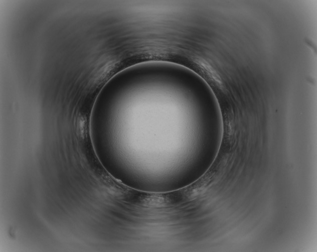 X0000091470123200708231347