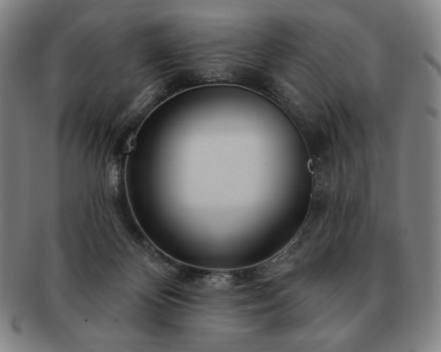 X0000091470124200708231347