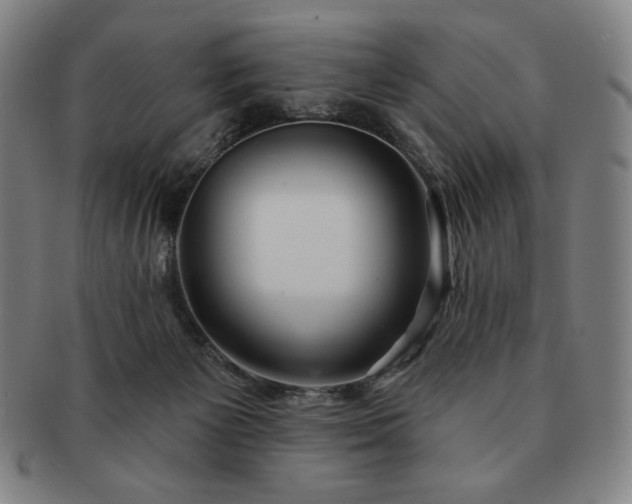 X0000091470125200708231347