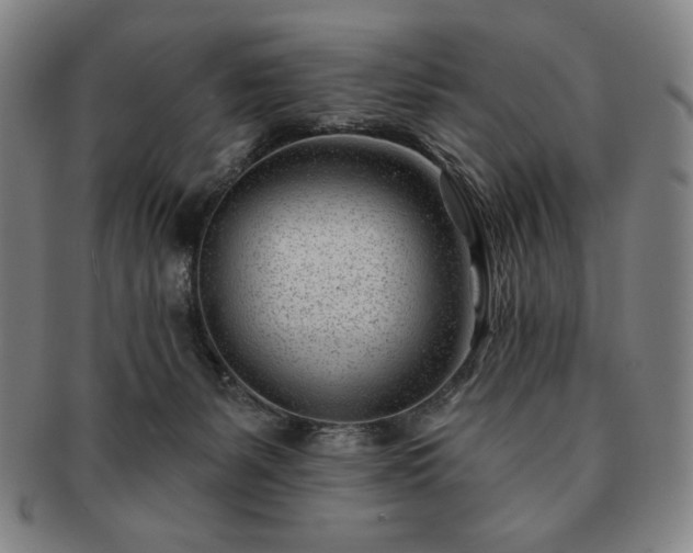 X0000091470127200708231347