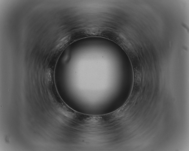 X0000091470128200708231347