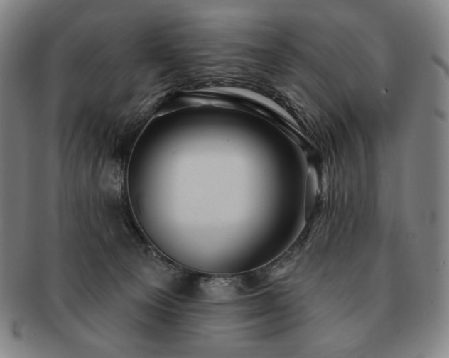 X0000091470129200708231347