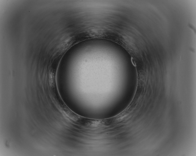 X0000091470130200708231347