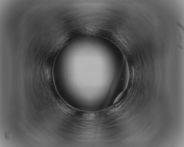 X0000091470131200708231347