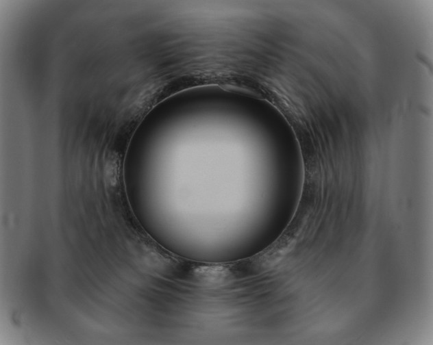 X0000091470133200708231347