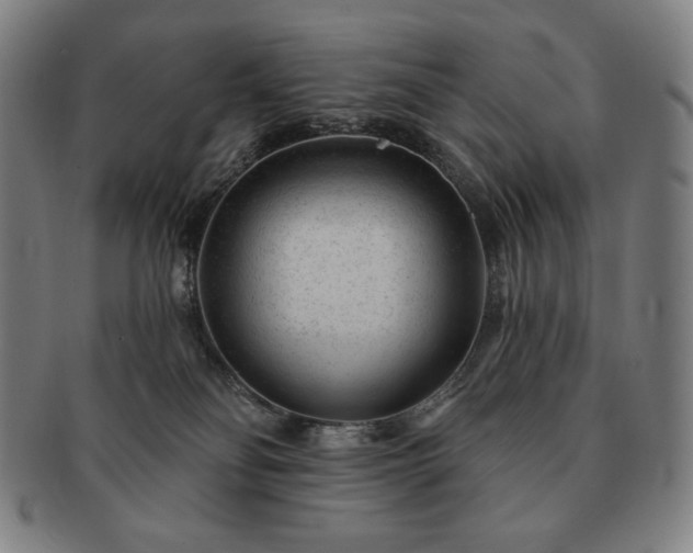 X0000091470134200708231347