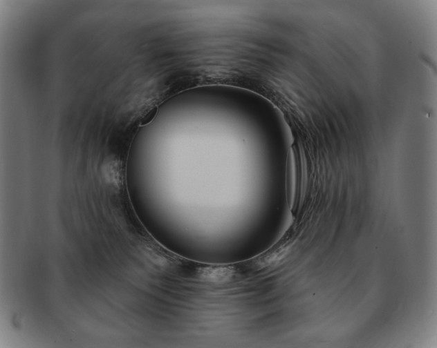 X0000091470135200708231347