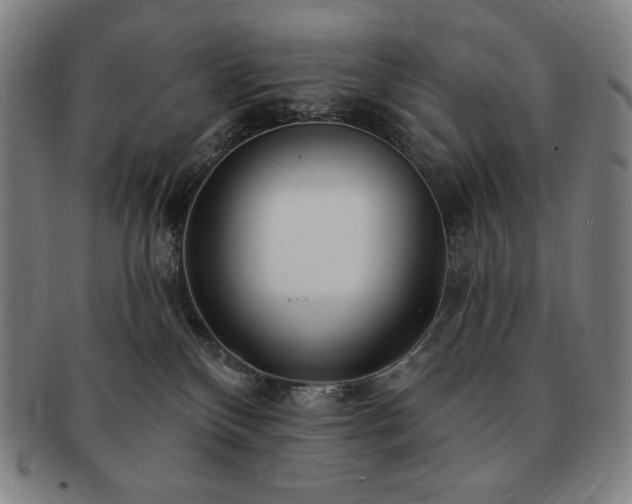 X0000091470136200708231347