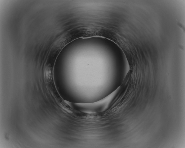 X0000091470137200708231347