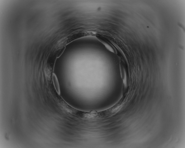 X0000091470139200708231347