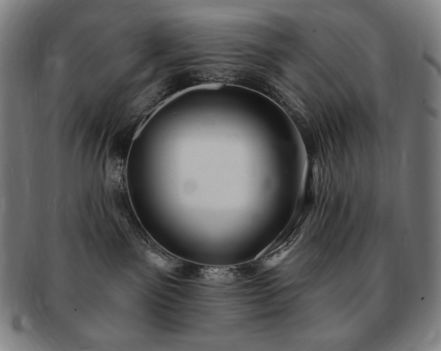 X0000091470141200708231347