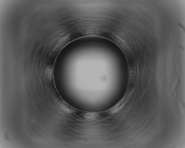 X0000091470142200708231347