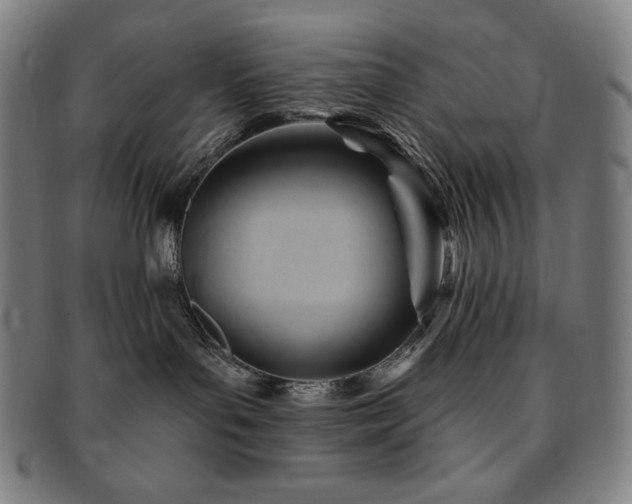 X0000091470143200708231347