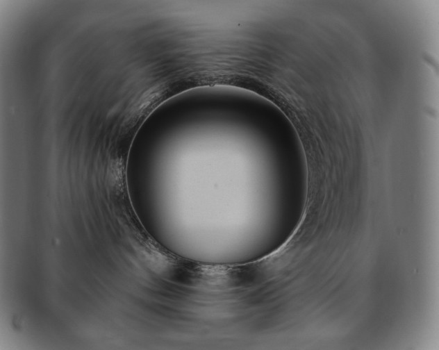 X0000091470144200708231347