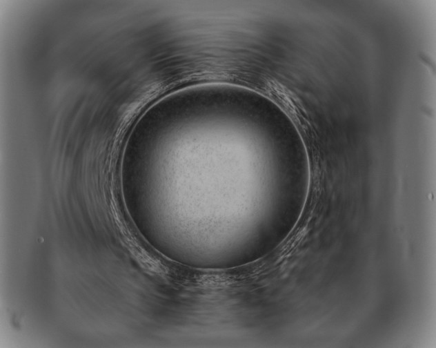 X0000091470145200708231346