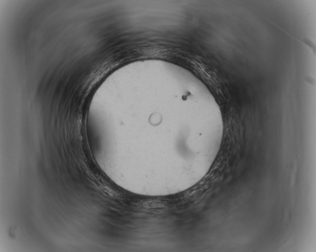 X0000091470146200708231346