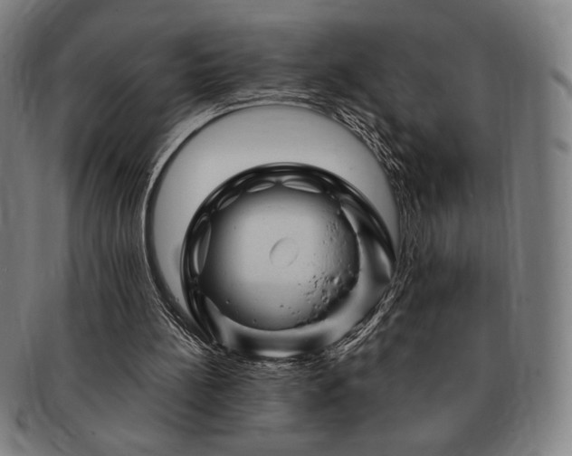 X0000091470148200708231346