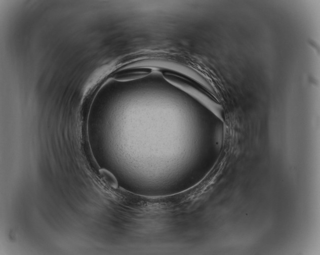 X0000091470149200708231346