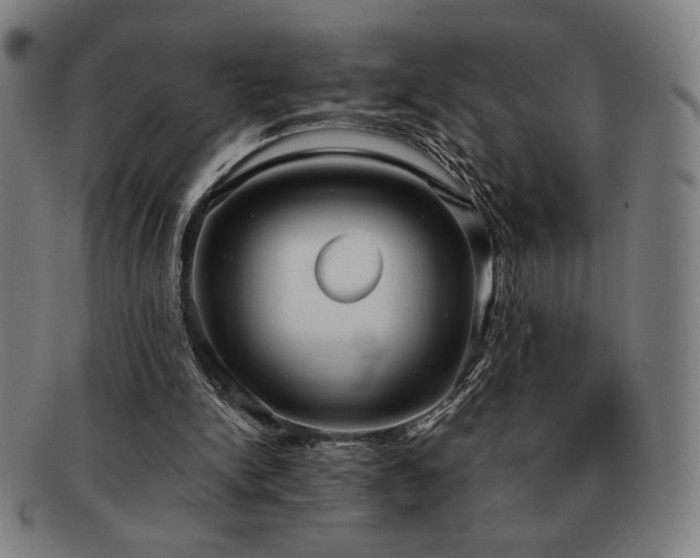 X0000091470150200708231346