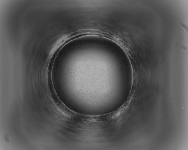 X0000091470151200708231346